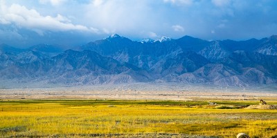 Landscape with yellow-green crops in foreground and bluish mountains in distance - Environmental Criticism and Posthumanism