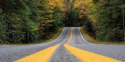 Low angle looking along yellow lines in middle of road, lined with trees - Language Change