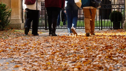 postgraduates walking in autumn