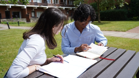 Students studying outdoors