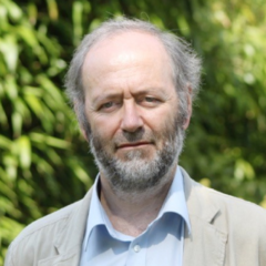 Professor Simon  Franklin