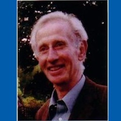 Professor Patrick  Boyde