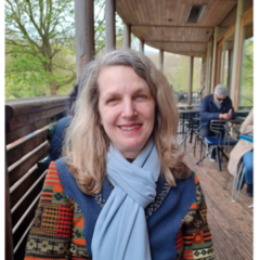 Dr Vivien Kogut Lessa de Sá