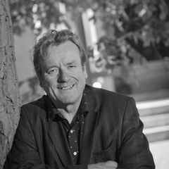 Professor Ian Roberts