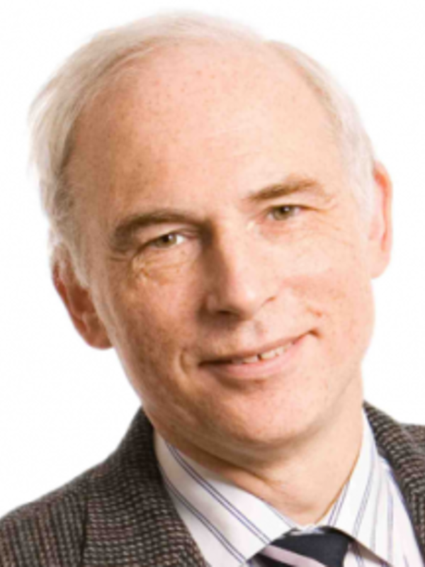 Professor Nicholas  Boyle 