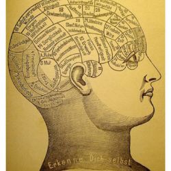Embodied Cognition Conference