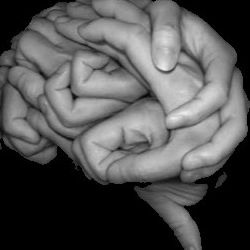 intersubjectivity
