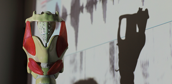 Model named 'Larry the Larynx' (c) University of Cambridge Model named 'Larry the Larynx'