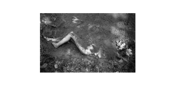 Peggy Ahwesh - Nocturne