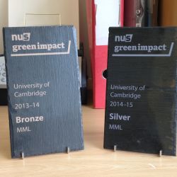 Bronze and silver awards