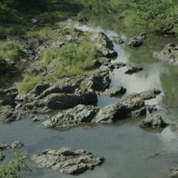 two met seemingly argue beside a shallow river. From the film Cocote