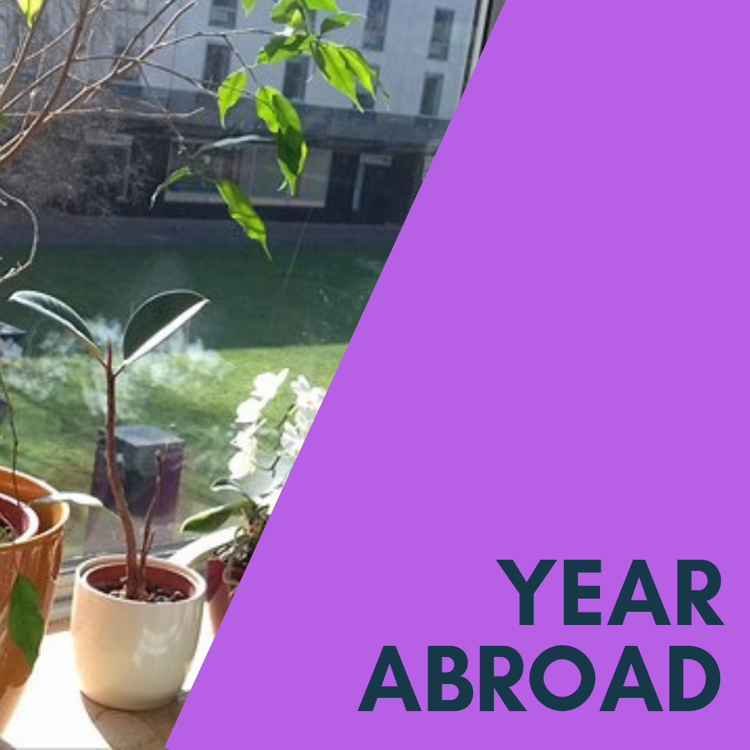Did you know we can help you on your Year Abroad? Here's how.